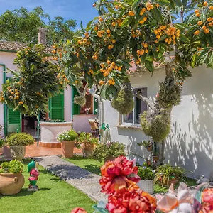 https://casa-vileta.balearic-islands.net
